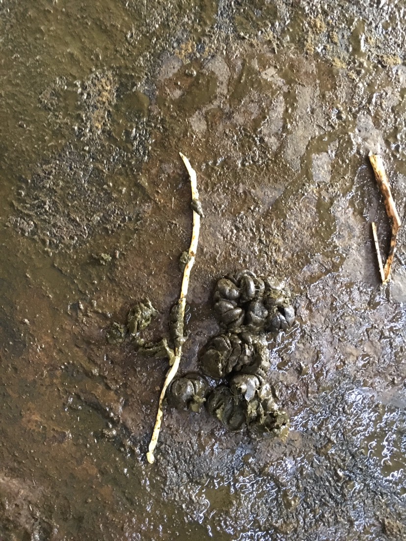 如何删除手机打字记忆_打字删除记忆手机软件_手机打字的记忆功能如何删除