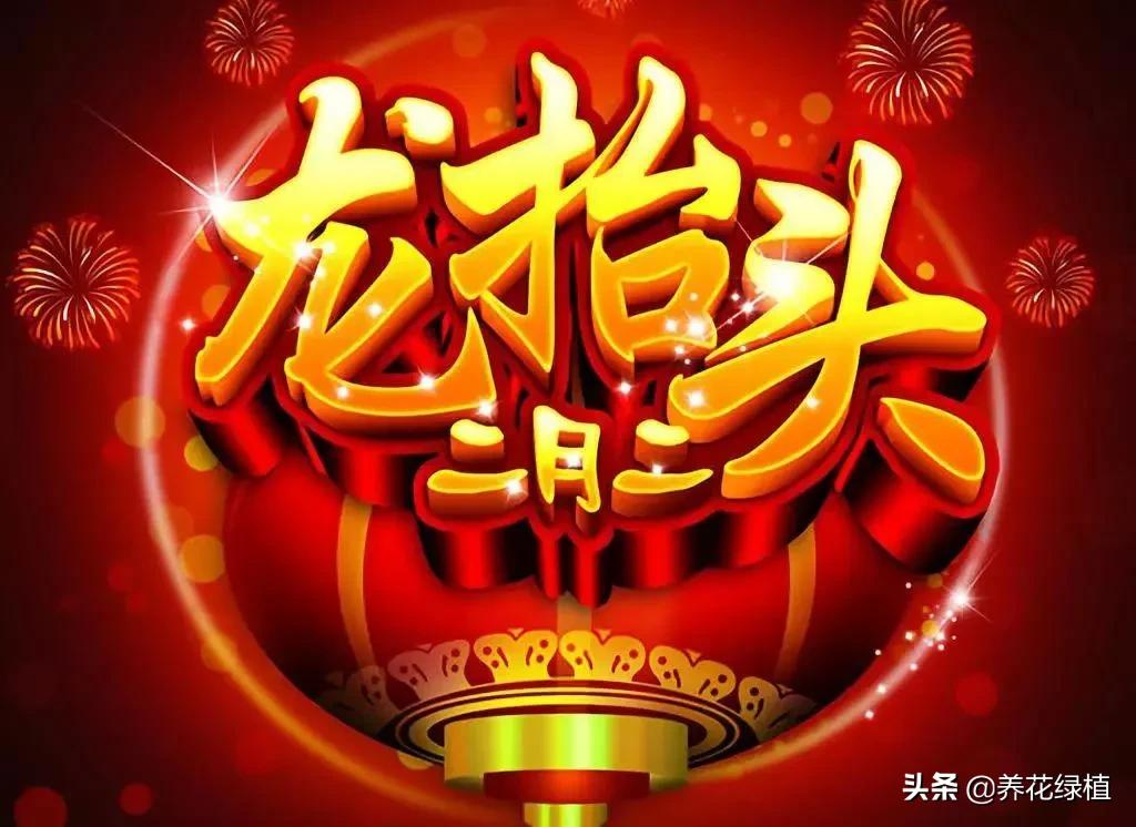抬头龙有什么讲究_龙抬头寓意_龙抬头的象征