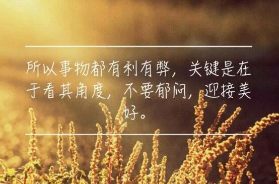 品红茶_品红色经典谱时代新篇征文_品红