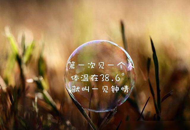 品红茶_品红色经典谱时代新篇征文_品红