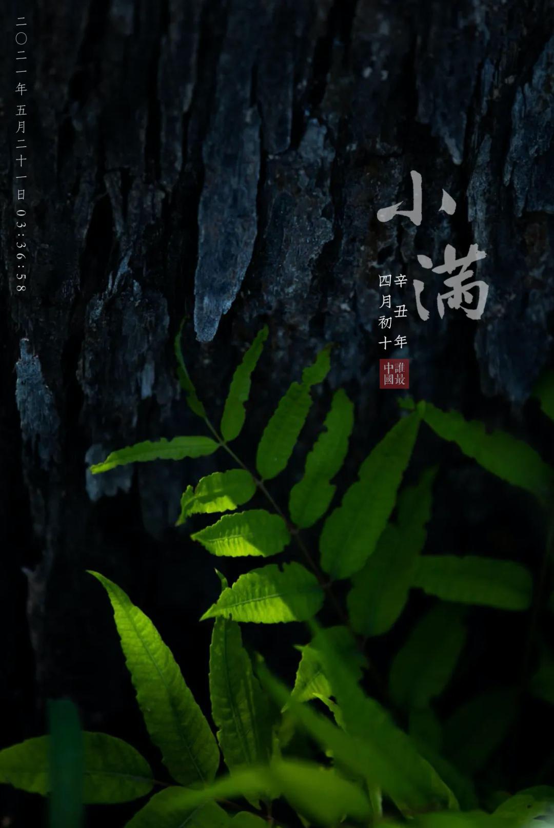 节气有小满没大满吗_大满是二十四节气吗_节气大满是什么意思