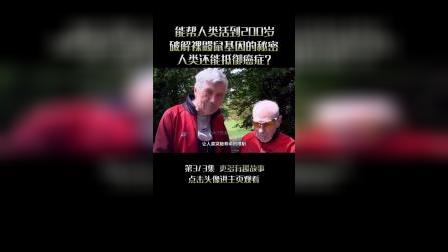 鼹鼠莫克和甜甜_小鼹鼠甜甜_么克甜甜