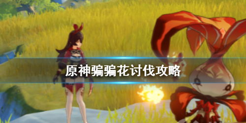 骗骗花