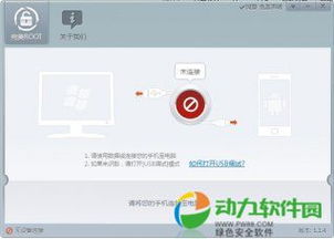 安卓进程管理系统,安卓进程管理系统的架构与机制概述