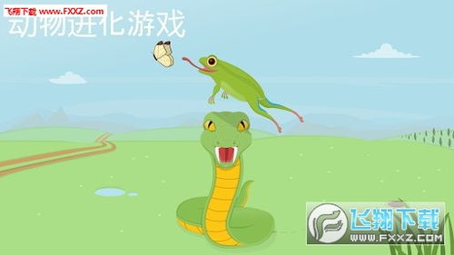 动物进化游戏,从单细胞到生态霸主的奇幻旅程