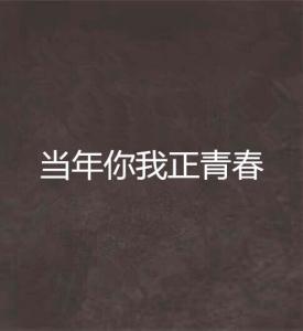 你我当年