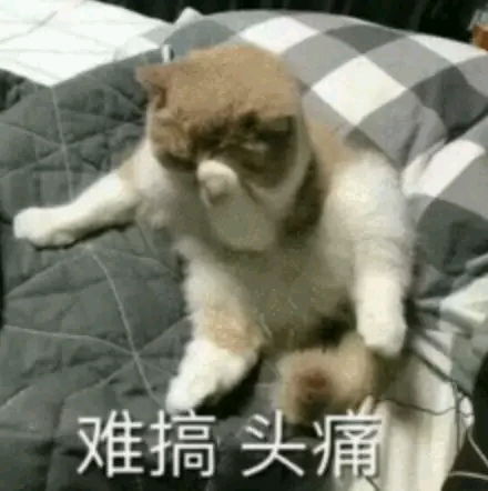 游戏玩多了头疼,揭秘过度娱乐背后的健康危机