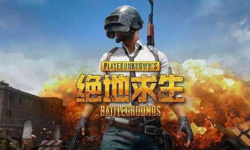 玩游戏吃鸡,一场紧张刺激的吃鸡冒险之旅